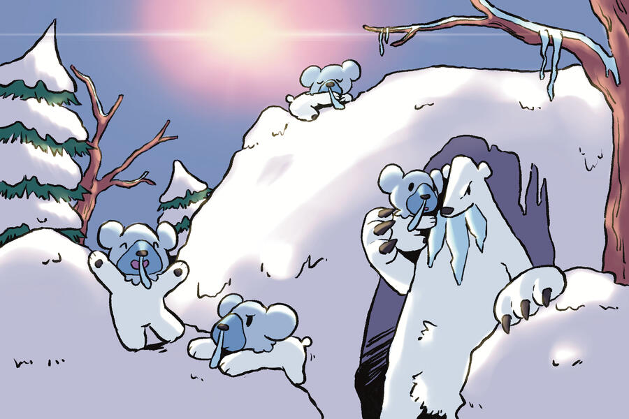 Cubchoo & Beartic Cubchoo & Beartic